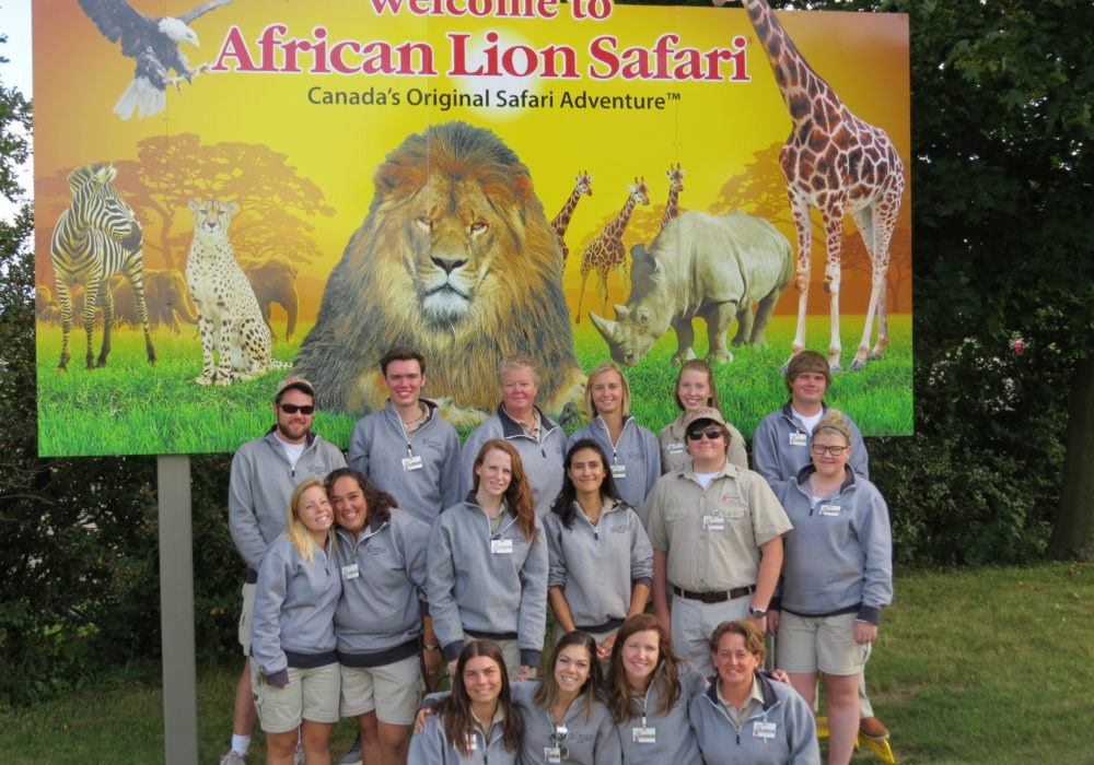 lion country safari internship