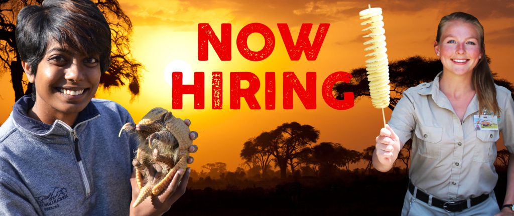 lion country safari hiring